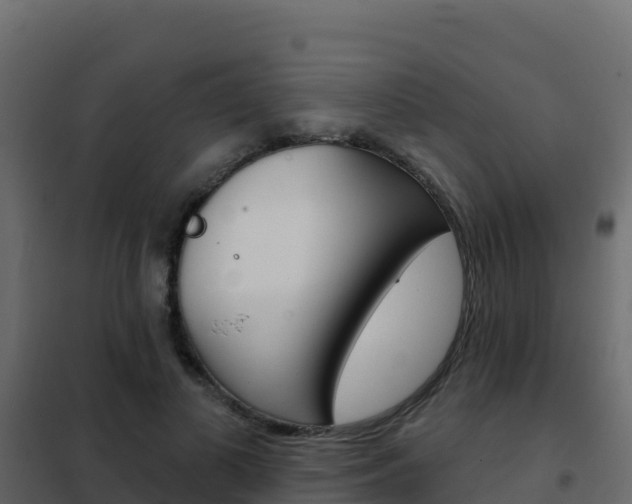 X0000102490693200808081056