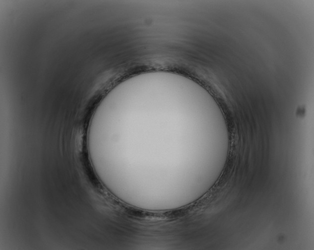 X0000102490694200808081056