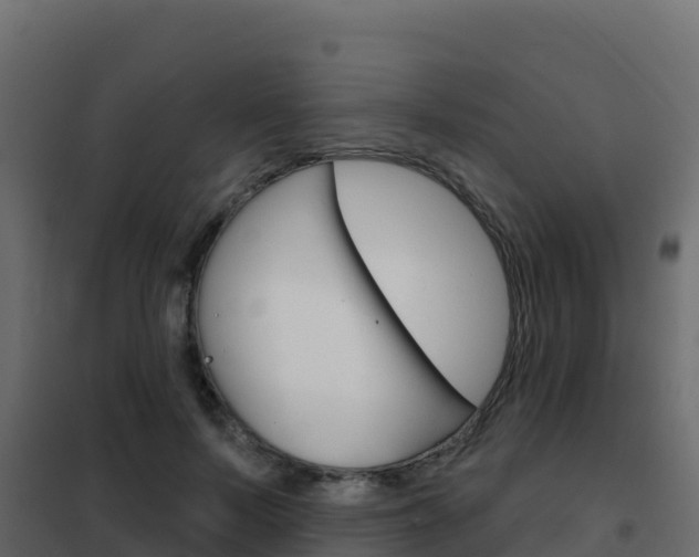X0000102490695200808081056