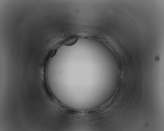 X0000102490696200808081056