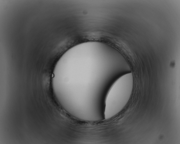 X0000102490697200808081056