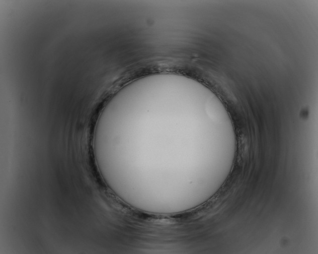 X0000102490698200808081056