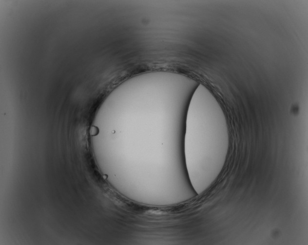 X0000102490699200808081056