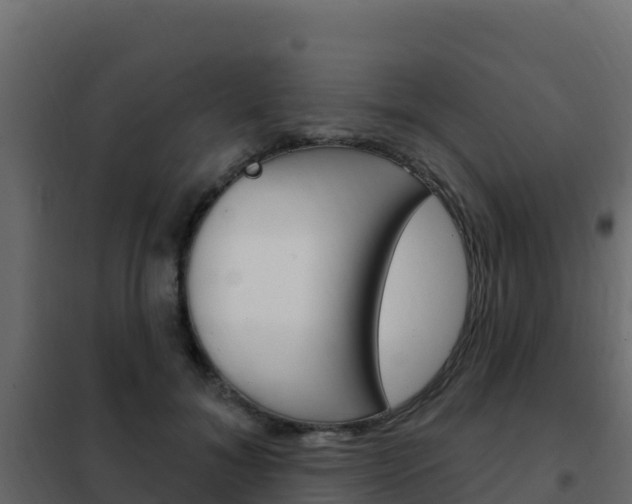 X0000102490700200808081056
