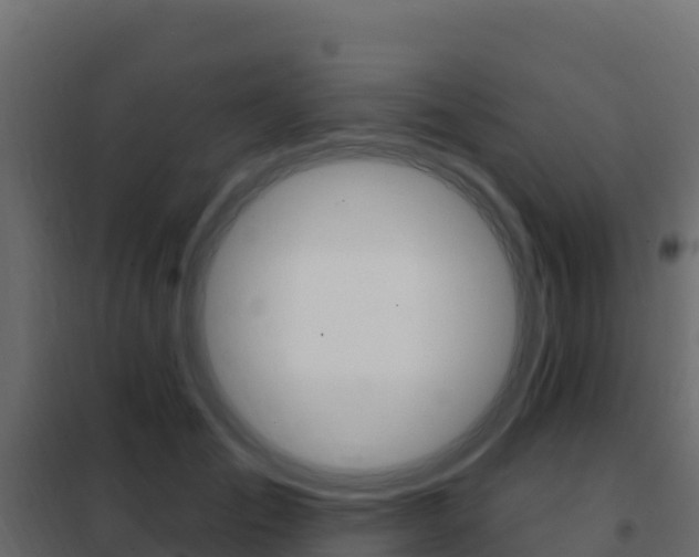 X0000102490701200808081056