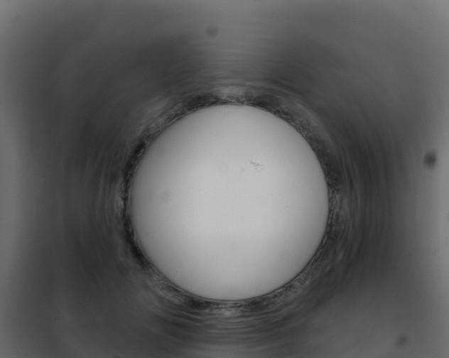 X0000102490702200808081056