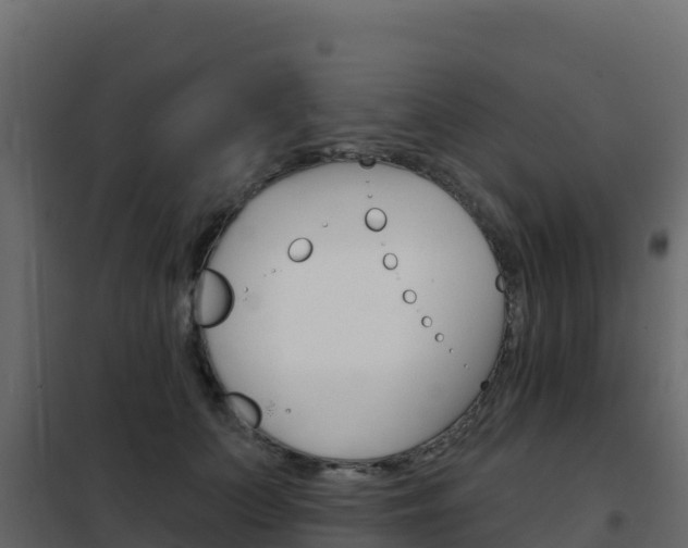 X0000102490703200808081056