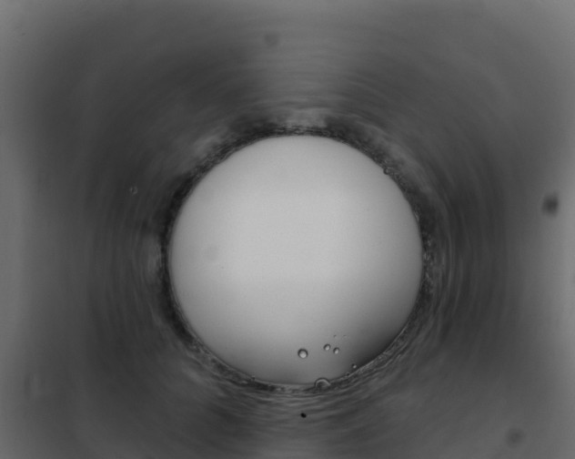 X0000102490704200808081056