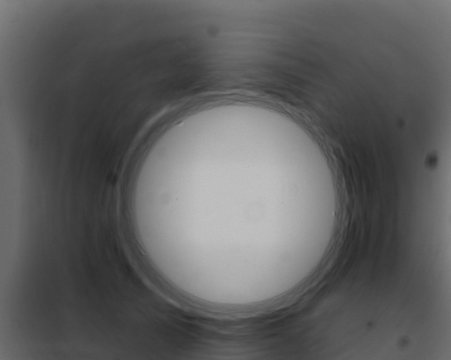 X0000102490705200808081056