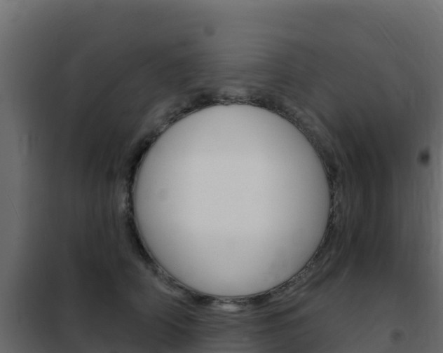 X0000102490706200808081056