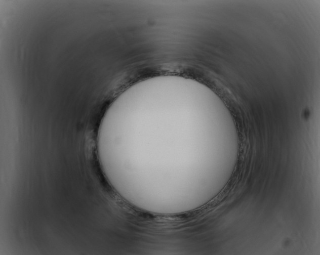 X0000102490707200808081056