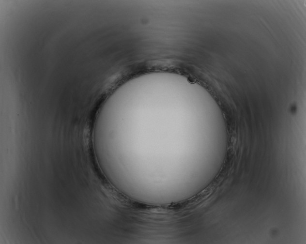 X0000102490708200808081056
