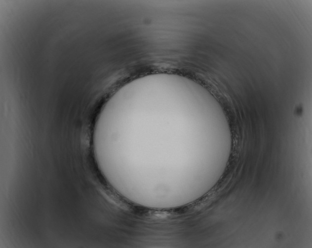 X0000102490710200808081056