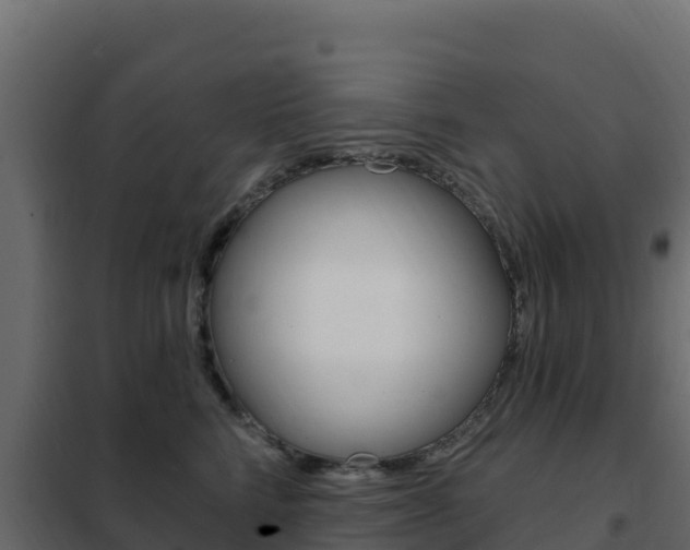 X0000102490712200808081056