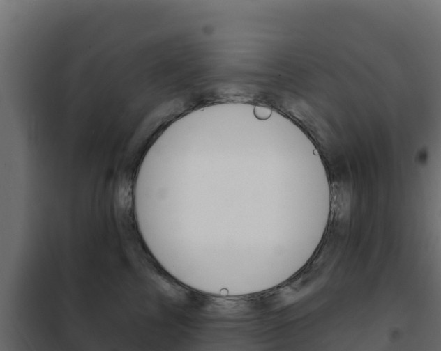 X0000102490713200808081056
