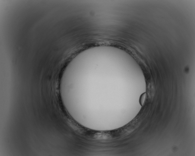 X0000102490714200808081056