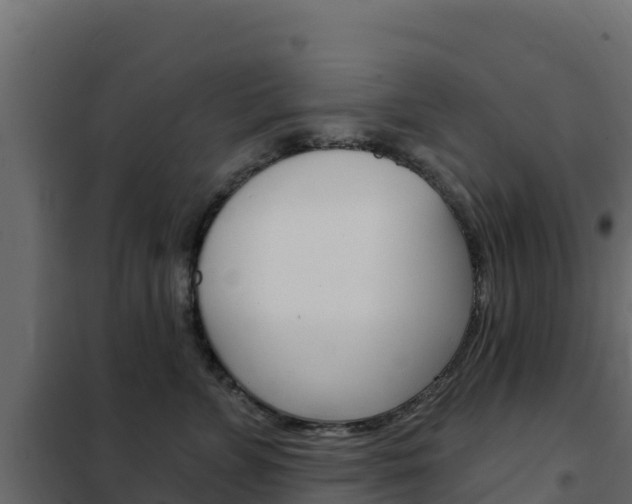 X0000102490715200808081056