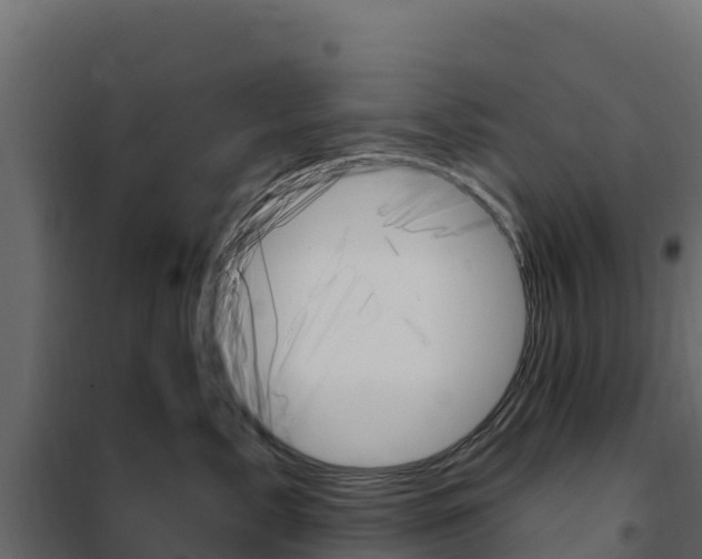 X0000102490717200808081056