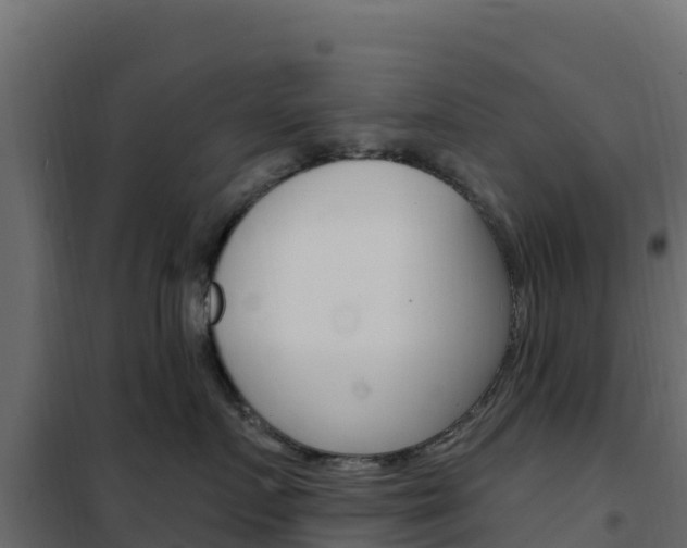 X0000102490719200808081056