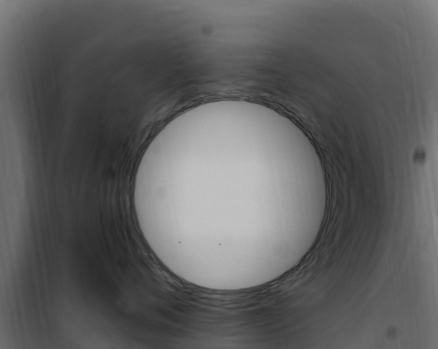 X0000102490720200808081056