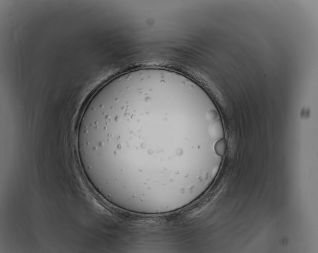 X0000102490721200808081055