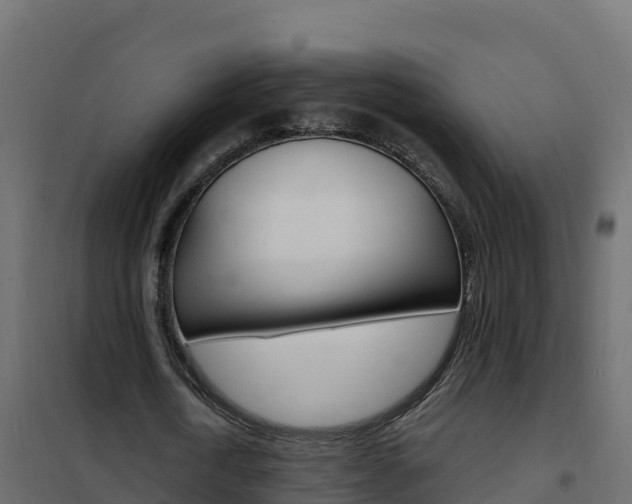 X0000102490722200808081055