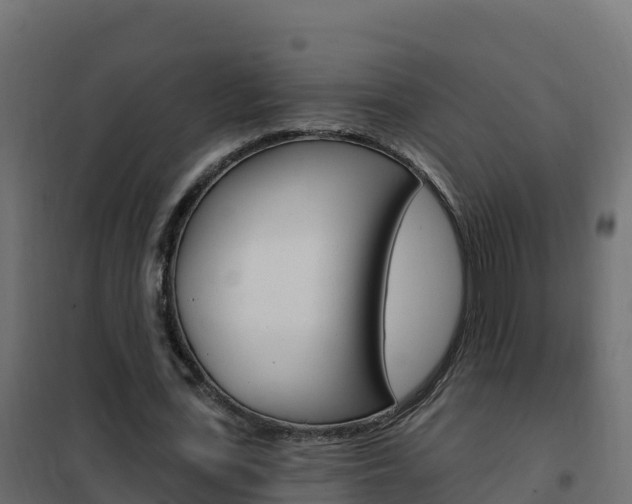 X0000102490723200808081055