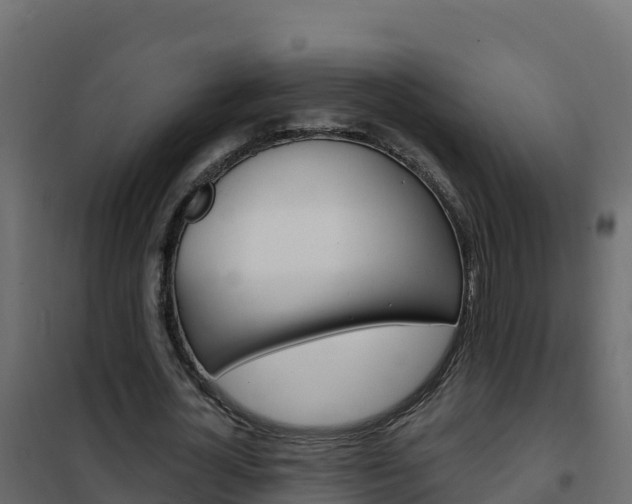 X0000102490724200808081055
