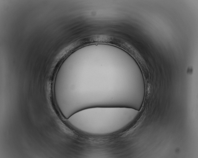 X0000102490725200808081055