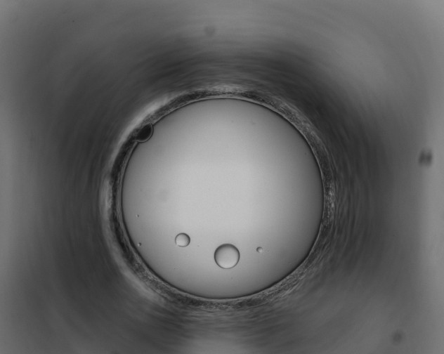 X0000102490726200808081055