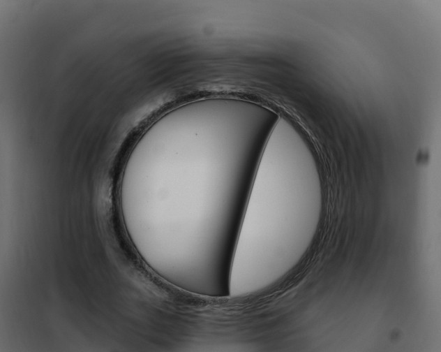X0000102490727200808081055