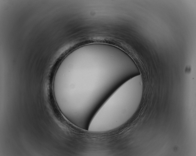 X0000102490728200808081055