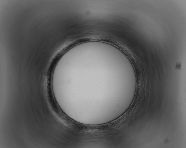 X0000102490730200808081055