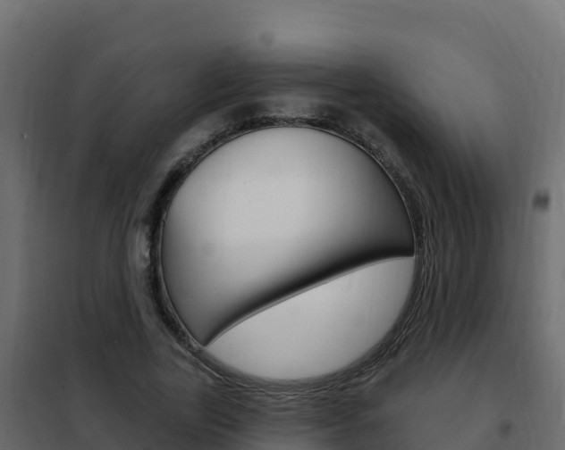 X0000102490731200808081055