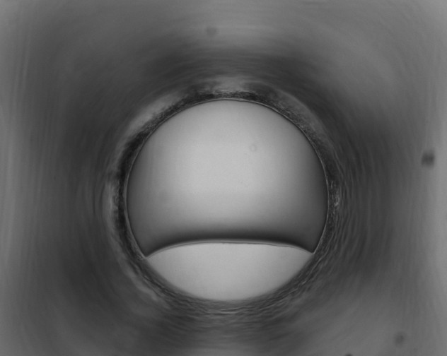X0000102490732200808081055