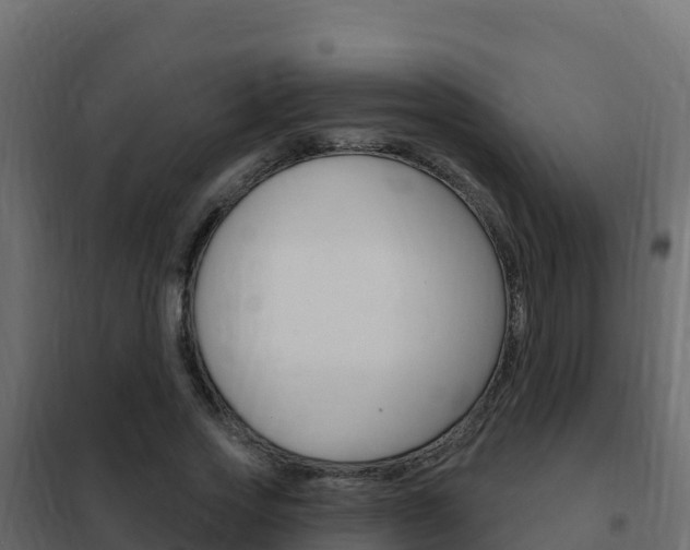 X0000102490733200808081055