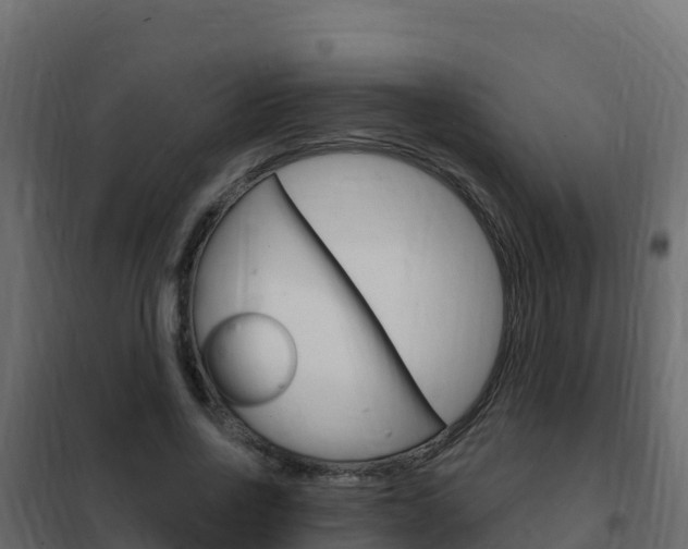 X0000102490734200808081055
