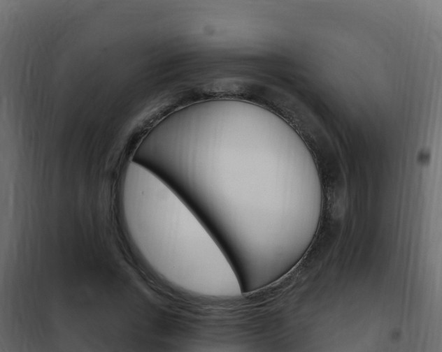 X0000102490735200808081055
