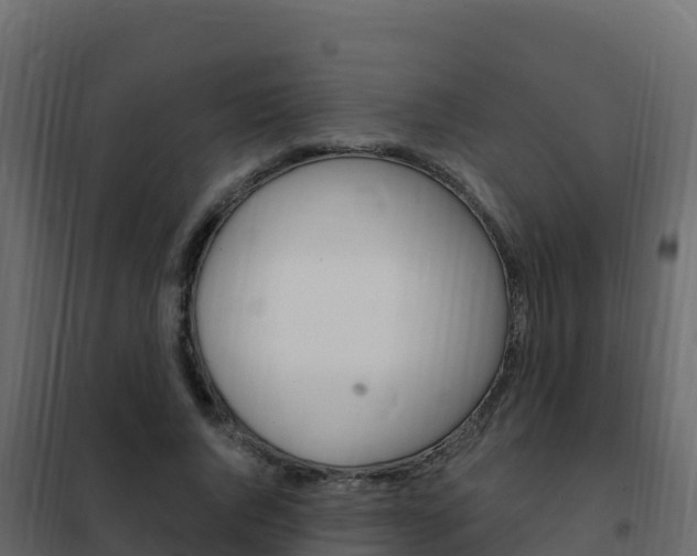 X0000102490736200808081055