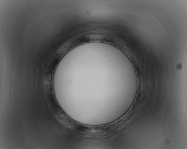 X0000102490737200808081055