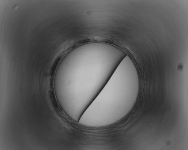 X0000102490738200808081056