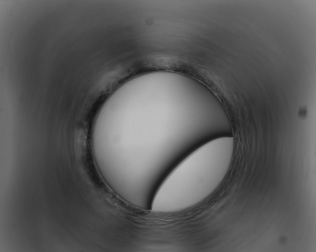 X0000102490739200808081056