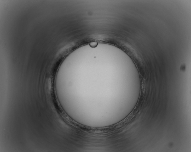 X0000102490740200808081056
