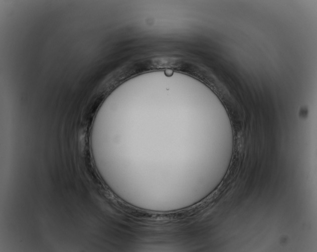 X0000102490741200808081056