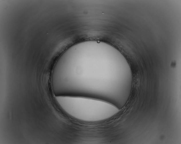 X0000102490742200808081056
