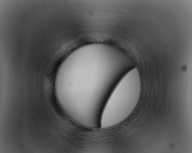 X0000102490743200808081056