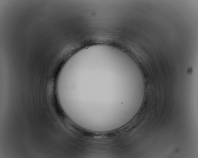 X0000102490744200808081056