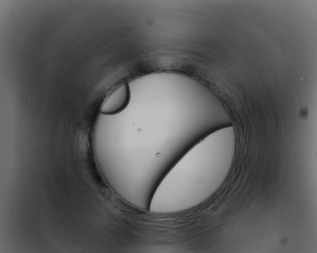 X0000102490746200808081056