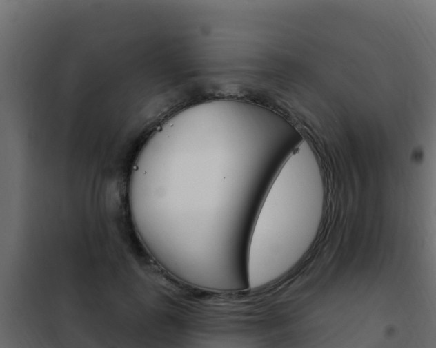 X0000102490747200808081056