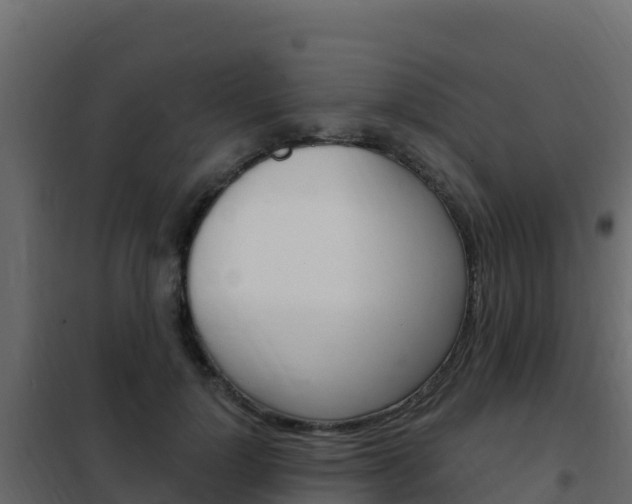 X0000102490748200808081056